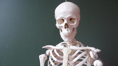 Atmosferdeki karbondioksit artışının sadece doğayı değil, doğrudan insan iskeletini de