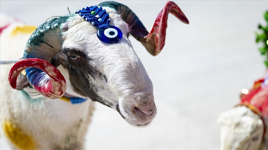 Ramazan Bayramı’nın ardından tatil planlarını şimdiden şekillendirmek isteyen vatandaşlar için