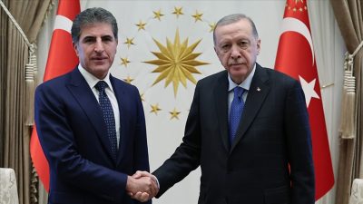 Cumhurbaşkanı Recep Tayyip Erdoğan, Irak Kürt Bölgesel Yönetimi Başkanı Neçirvan