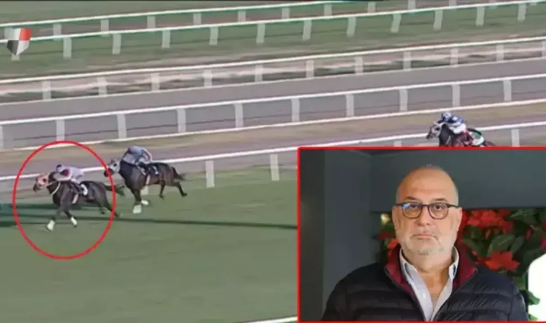 Adana Yeşiloba Hipodromu’nun başarılı isimlerinden Smart Latch’in bir aşevinde kesilerek