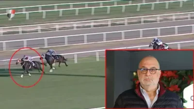 Adana Yeşiloba Hipodromu’nun başarılı isimlerinden Smart Latch’in bir aşevinde kesilerek