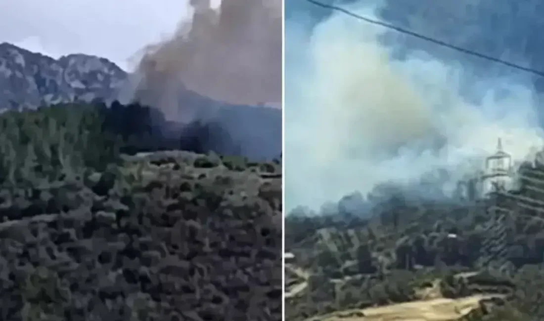 Osmaniye’nin Sumbas ilçesinde ormanlık alanda başlayan yangın rüzgârın da etkisiyle