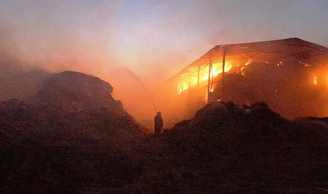 Osmaniye merkeze bağlı Cevdetiye beldesinde bir hayvan çiftliğinde çıkan yangın