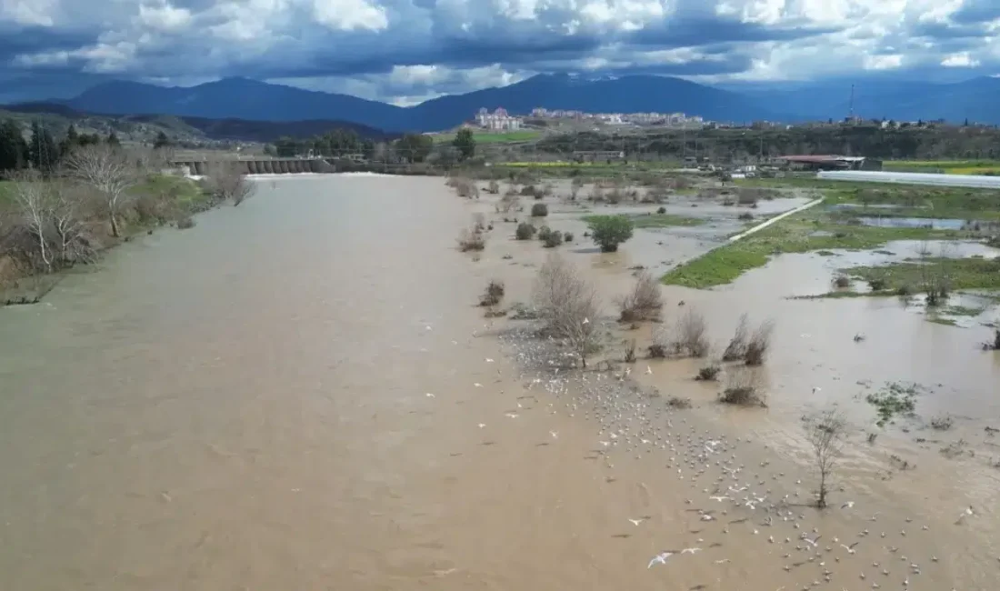 Osmaniye’de etkili olan kuvvetli sağanak yağışların ardından Ceyhan Nehri’nin debisi