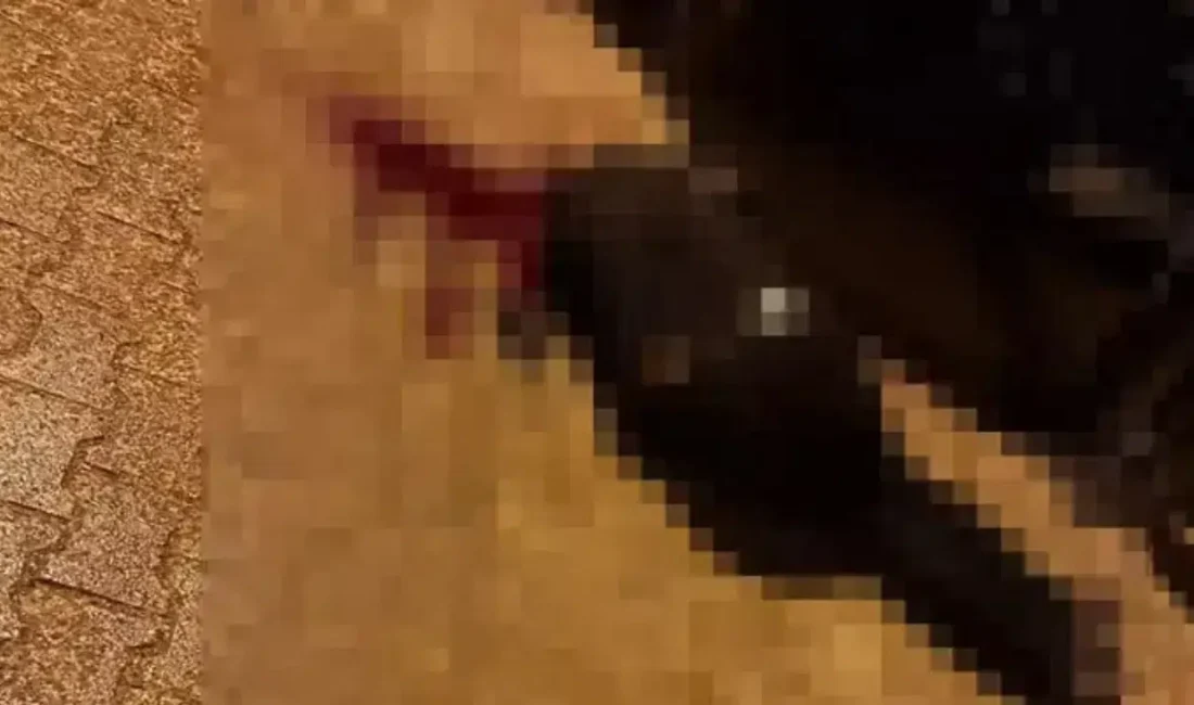 Şırnak’ın Cizre ilçesinde güpegündüz yaşanan korkunç olayda, sokakta yürüdüğü sırada