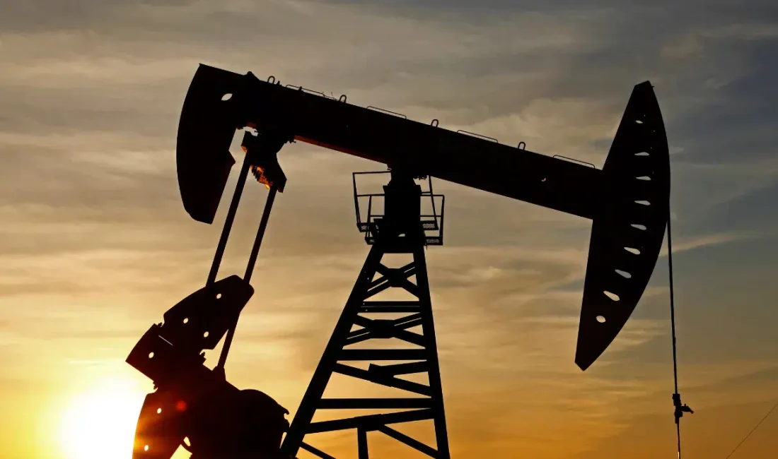 Sırbistan hükümeti, küresel piyasalarda yaşanan sert dalgalanmaların ardından iç pazardaki