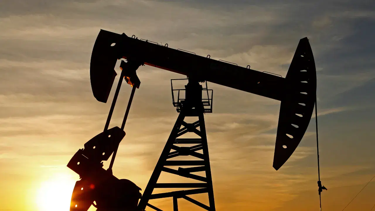 Sırbistan hükümeti, küresel piyasalarda yaşanan sert dalgalanmaların ardından iç pazardaki