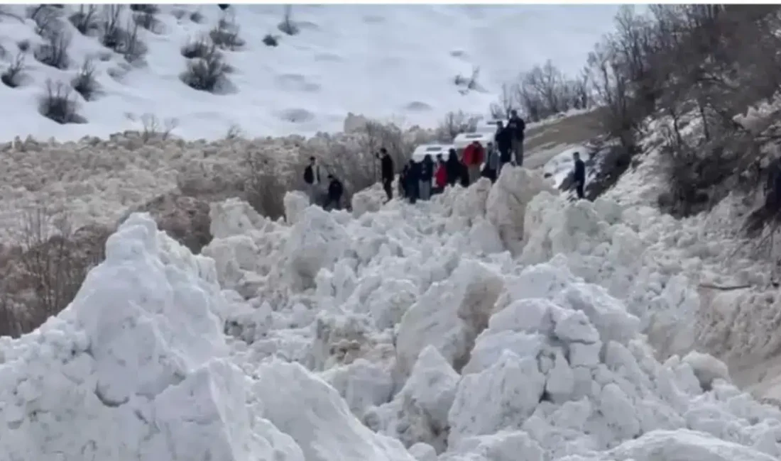 Şırnak’ın Beytüşşebap ilçesinde köy yoluna düşen dev çığ kütlesi bölgede