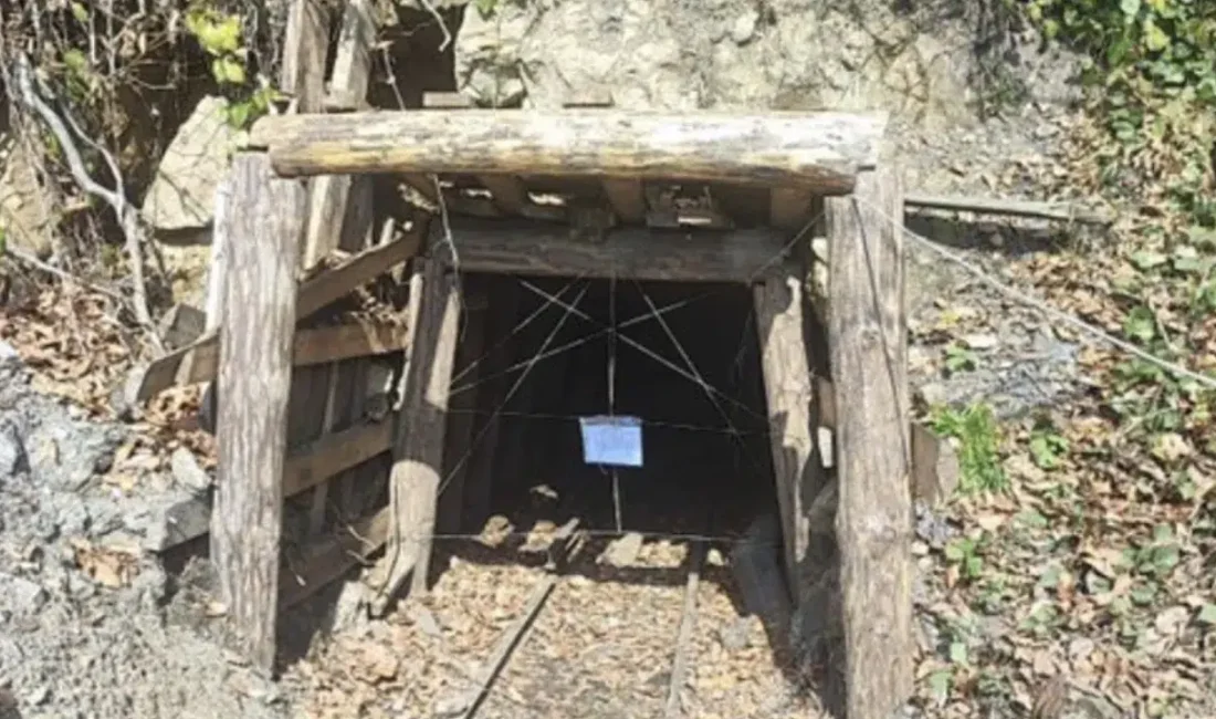 Zonguldak İl Emniyet Müdürlüğü ve İl Jandarma Komutanlığı ekiplerinin koordineli