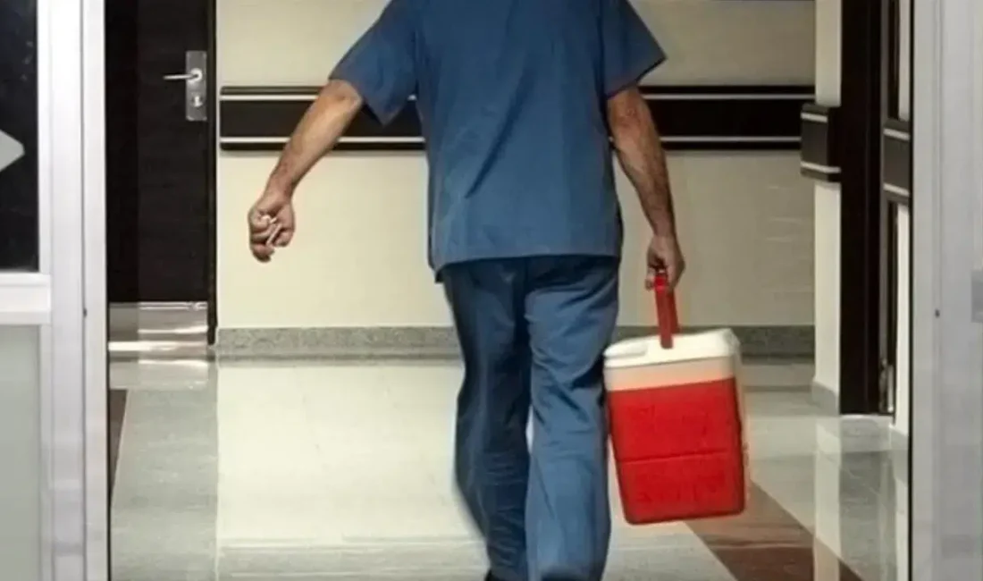 Trabzon’da beyin ölümü gerçekleşen 23 yaşındaki genç kadının ailesi, evlatlarını