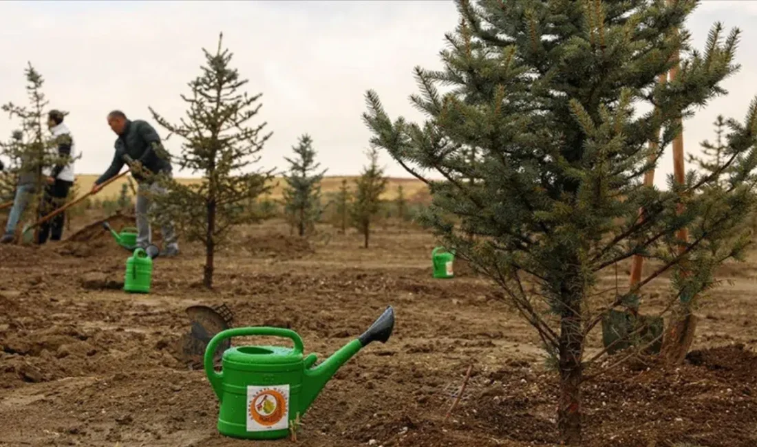 Ordu’da Orman Haftası kutlamaları kapsamında düzenlenen özel bir etkinlikle tam