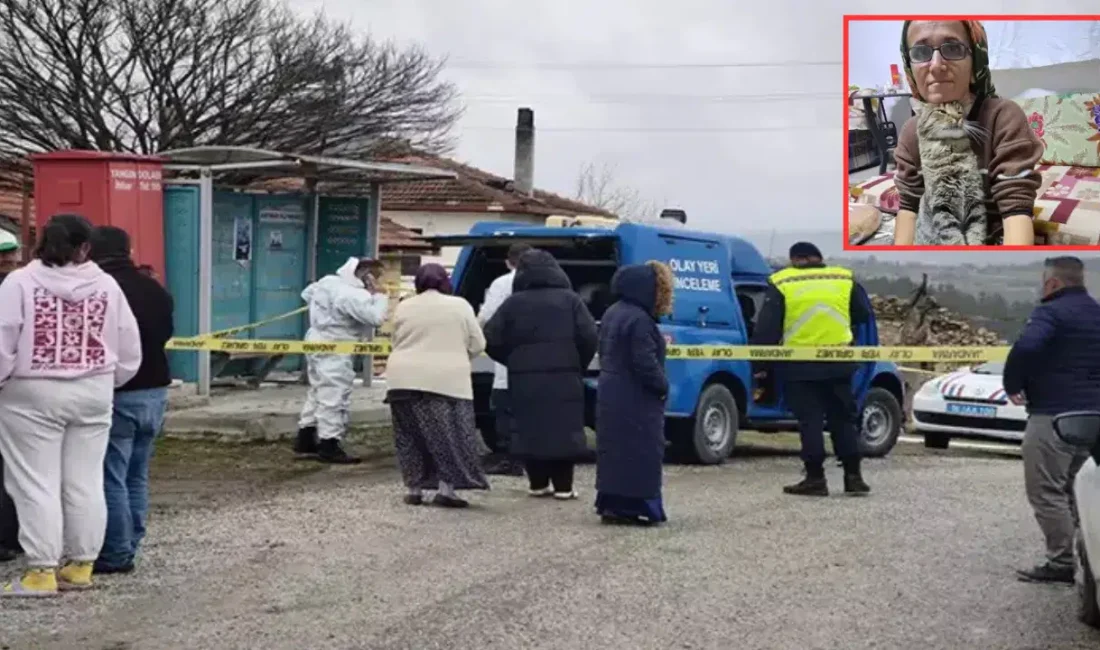 Bursa’nın Harmancık ilçesinde meydana gelen kan donduran olayda, 60 yaşındaki