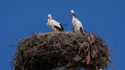 Bursa’nın meşhur balıkçısı Adem Yılmaz ile kurduğu dostlukla dünyaya yayılan