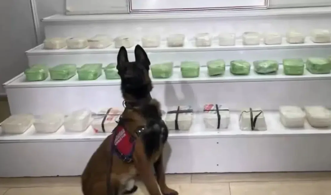 İçişleri Bakanlığı koordinesinde Van ve Hakkari illerinde gerçekleştirilen eş zamanlı