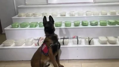 İçişleri Bakanlığı koordinesinde Van ve Hakkari illerinde gerçekleştirilen eş zamanlı