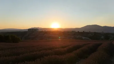 Hindistan’ın trafik güvenliğini sağlamak amacıyla hayata geçirdiği “kırmızı yol sistemi”