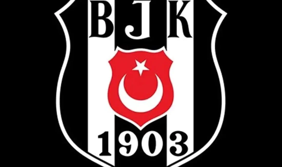 Birçok kişinin bilmediği bu pratik yöntem sayesinde artık solmuş renkler