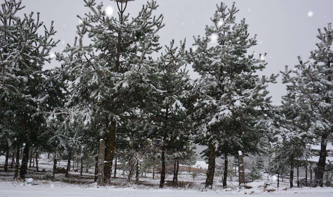 Bahar sıcaklıklarına alışan Türkiye nisan ayında kış geri mi dönüyor