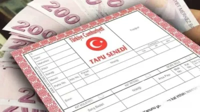 Mart 2026 verileriyle birlikte Türkiye genelinde imarsız arazi fiyatlarındaki hareketlilik