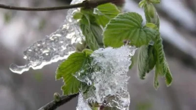 Televizyon dünyasının unutulmaz yapımlarından biri olan Çocuklar Duymasın dizisinin başrol