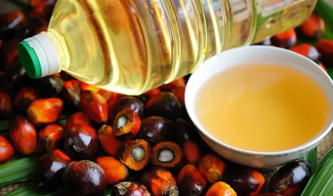Küresel bitkisel yağ piyasalarında taşlar yerinden oynuyor. Palm yağı ile