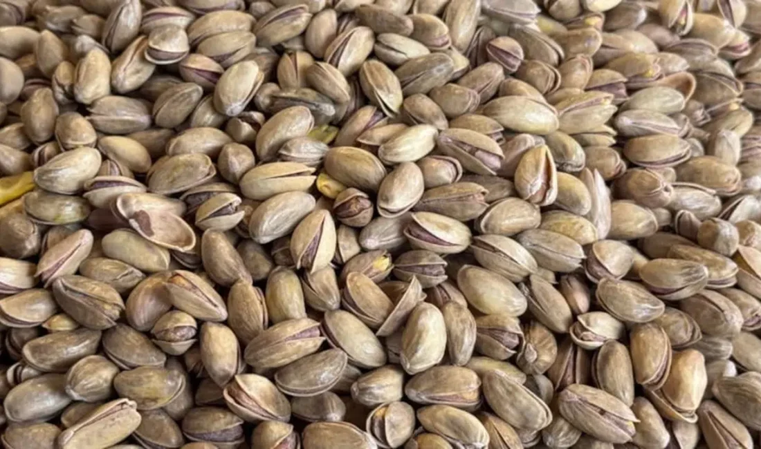 Türkiye’nin tarımsal ihracat kalemleri arasında stratejik bir öneme sahip olan