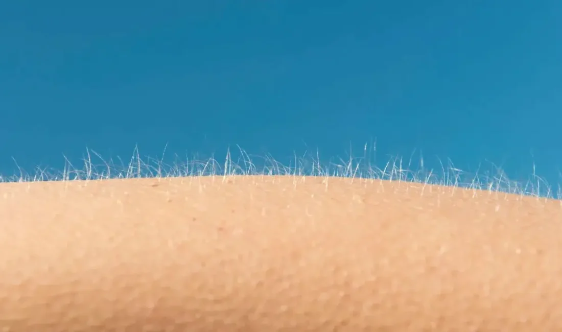 Soğuk hava, ani bir korku ya da derin bir duygu