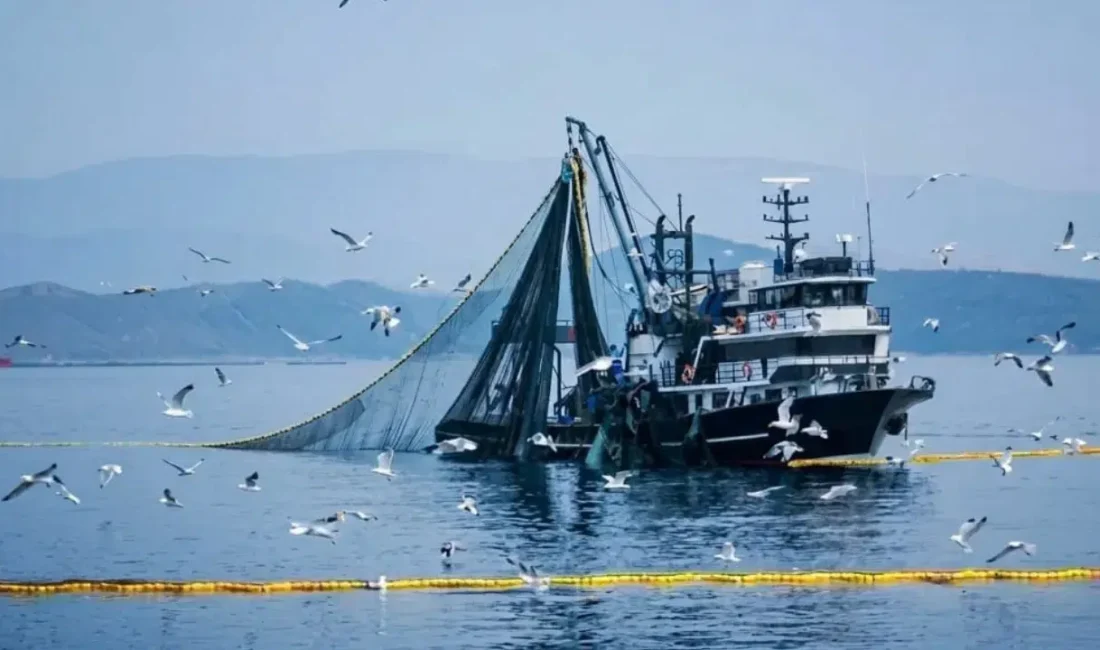Tarım ve Orman Bakanlığı tarafından yapılan son dakika açıklamasına göre
