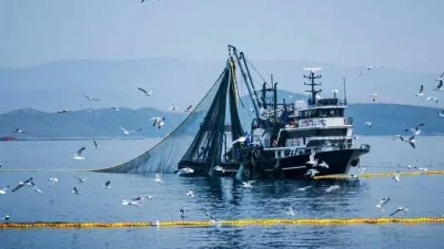 Tarım ve Orman Bakanlığı tarafından yapılan son dakika açıklamasına göre