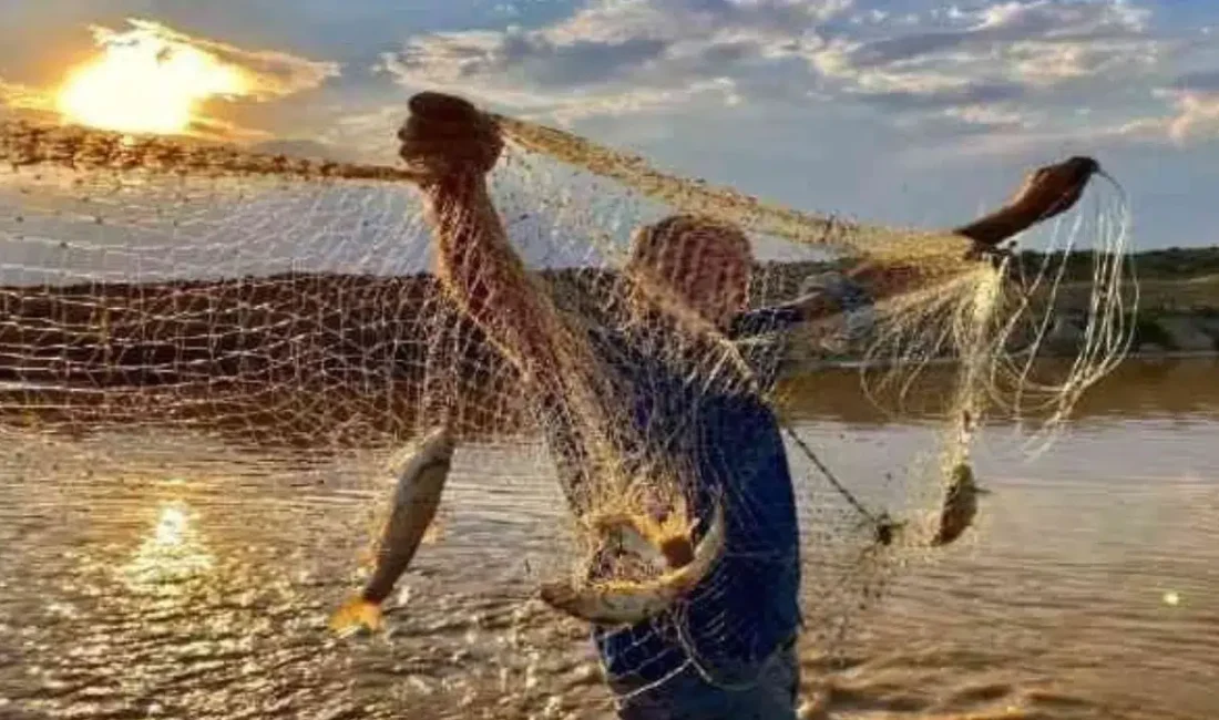 Erzincan İl Tarım ve Orman Müdürlüğü tarafından yapılan son dakika