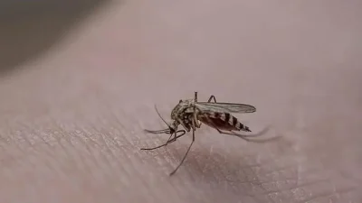 Magazin dünyasının en çok konuşulan ve örnek gösterilen çiftleri arasında