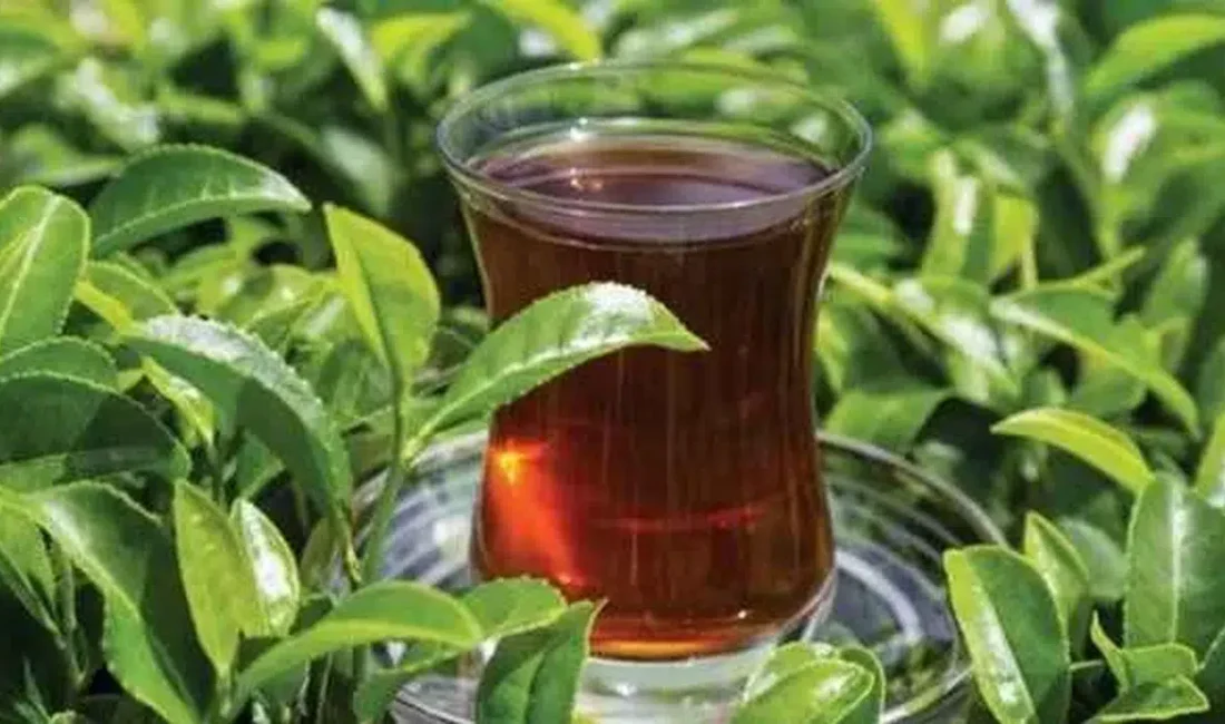 Trabzon’da sabah kahvaltılarının ve gün içi sohbetlerin vazgeçilmezi olan çay