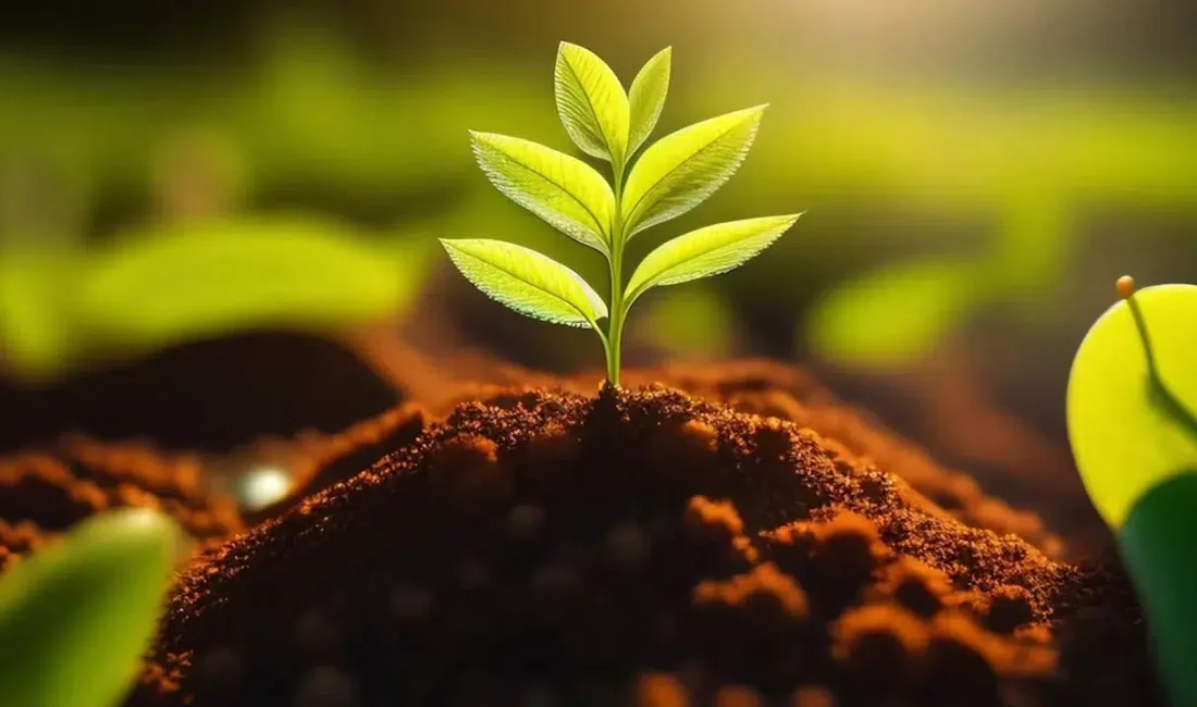 Tarım sektöründe maliyet artışlarının önüne geçmek amacıyla atılan kritik adımın