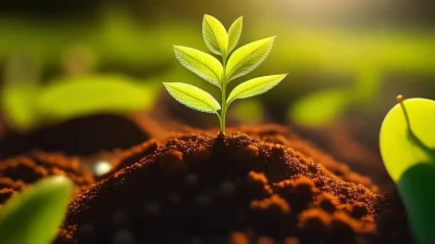 Tarım sektöründe maliyet artışlarının önüne geçmek amacıyla atılan kritik adımın