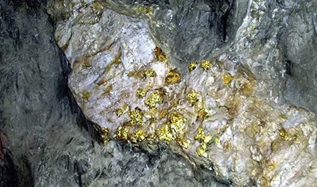 Bilim dünyasının uzun süredir üzerinde çalıştığı gizemli soru nihayet yanıt