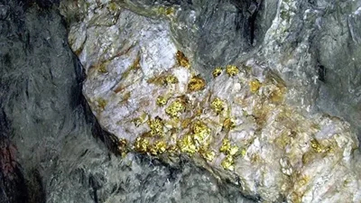 Bilim dünyasının uzun süredir üzerinde çalıştığı gizemli soru nihayet yanıt