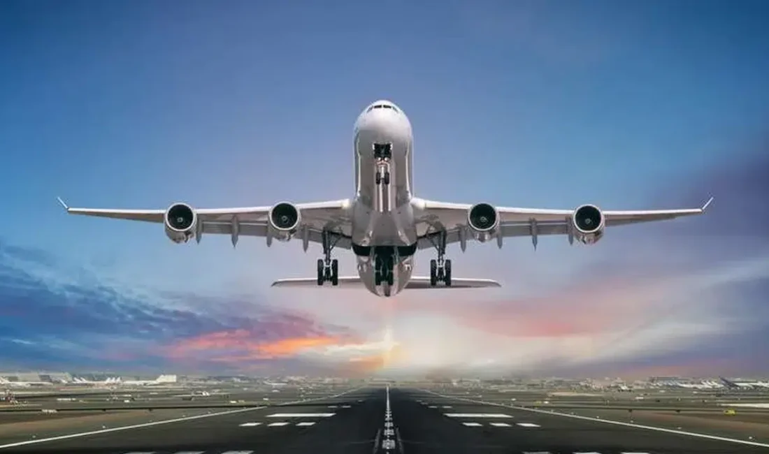 Amerika Birleşik Devletleri’nde bir yolcu uçağının motoruna yuva yapan binlerce