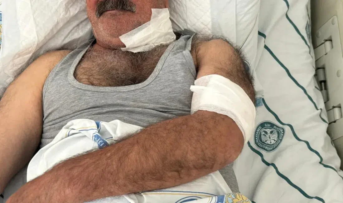 Diyarbakır’ın merkez Sur ilçesinde meydana gelen dehşet verici olayda, bir