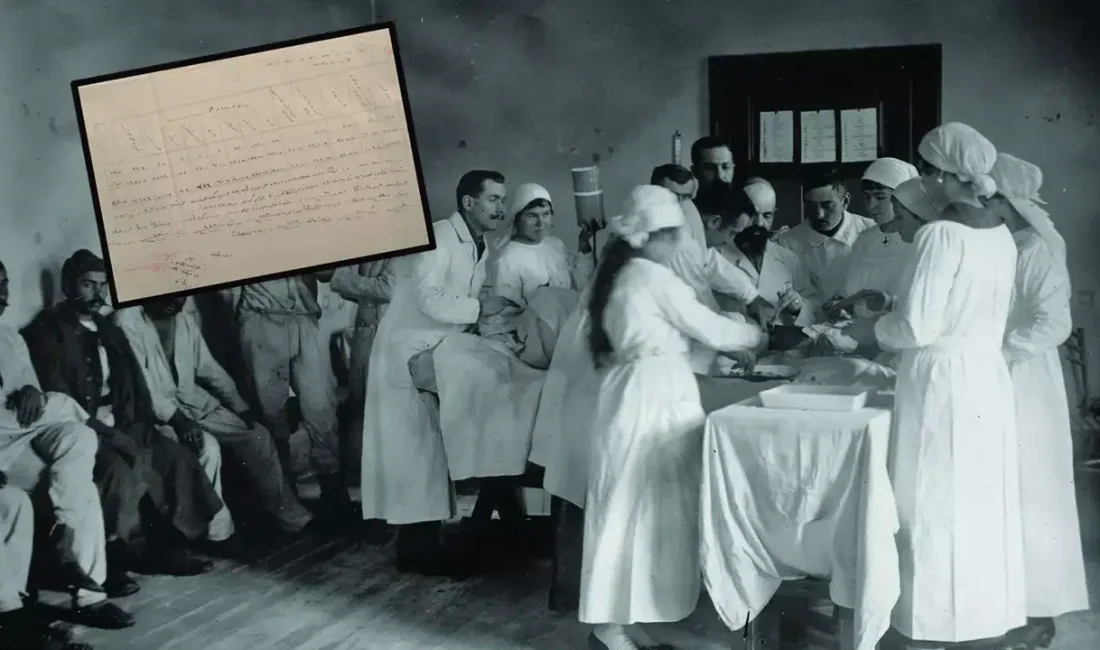 Çanakkale Savaşları Enstitüsü tarafından gün yüzüne çıkarılan 1915 tarihli kritik