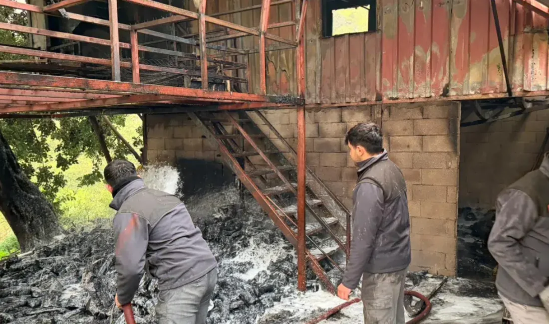 Antalya’nın Alanya ilçesinde meydana gelen yangın mahalle sakinlerine korku dolu