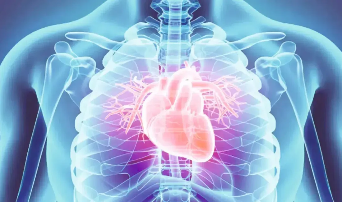 Dünya genelinde her yıl yaklaşık 20 milyon insanın hayatını kaybetmesine