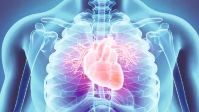 Dünya genelinde her yıl yaklaşık 20 milyon insanın hayatını kaybetmesine