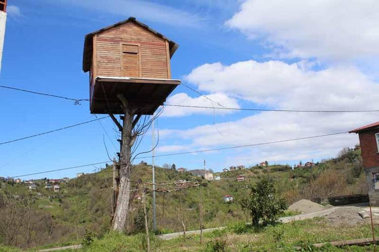 Rize’de yaşayan Resul Bilen, tam 25 yıl önce çocukken kurduğu