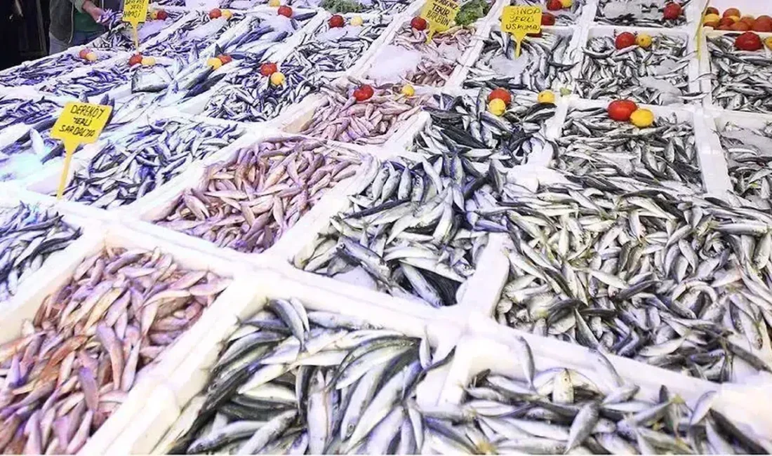 Denizlerde av yasağının başlamasıyla birlikte “Balık bitti, fiyatlar uçacak” beklentisi