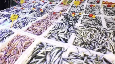 Denizlerde av yasağının başlamasıyla birlikte “Balık bitti, fiyatlar uçacak” beklentisi