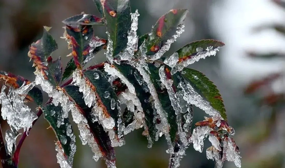 Meteoroloji Genel Müdürlüğü tarafından yapılan son dakika uyarısıyla Ankara genelinde