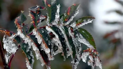 Meteoroloji Genel Müdürlüğü tarafından yapılan son dakika uyarısıyla Ankara genelinde