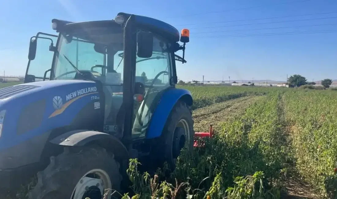 Gayrimenkul piyasasında 2026 yılına dair beklentiler şekillenirken arsa metrekare fiyatlarındaki