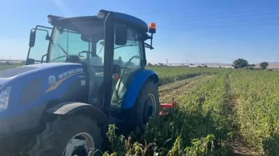 Gayrimenkul piyasasında 2026 yılına dair beklentiler şekillenirken arsa metrekare fiyatlarındaki