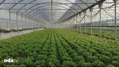 Dünyayı etkisi altına alan enerji krizleri ve tedarik zinciri aksaklıkları